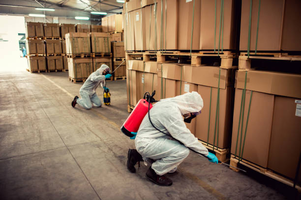 Best Cockroach Control Services  in Woodmere, NY