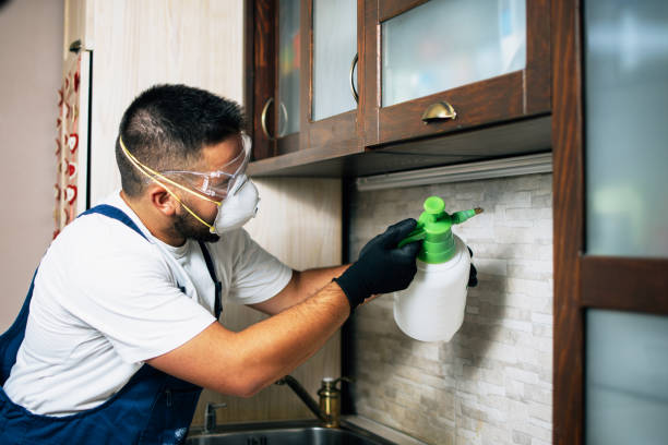 Best Pest Prevention Services  in Woodmere, NY