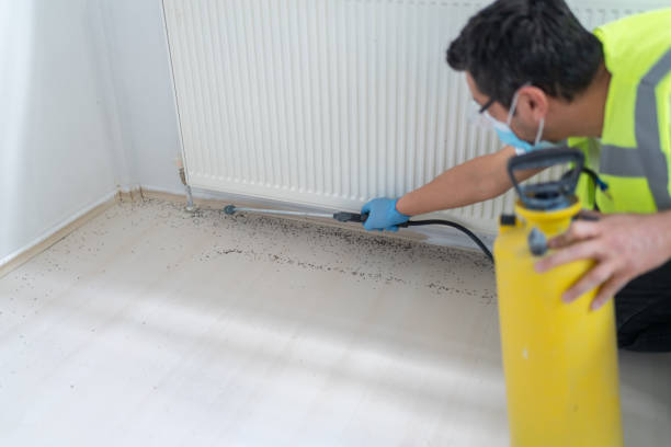 Best Commercial Pest Control Services  in Woodmere, NY