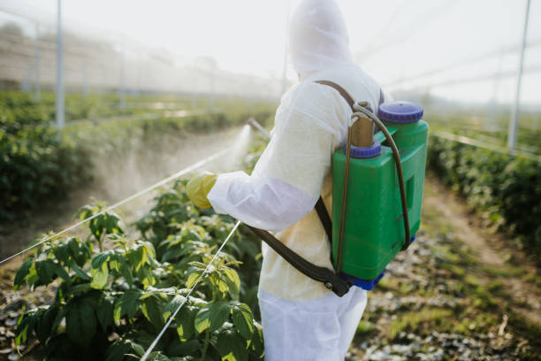 Wasp Removal Services in Woodmere, NY